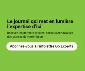 Publicité dans Go Expert 300 X 250