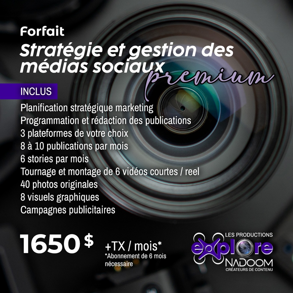 Stratégie et gestion des médias sociaux