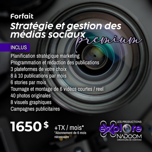 Stratégie et gestion des médias sociaux